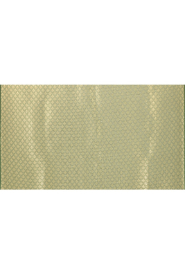 Floral printed tissue silk benarasi border