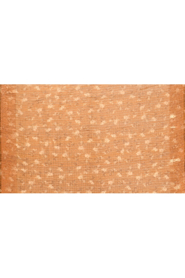 floral print organza with benarasi border
