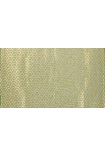 Floral printed tissue silk benarasi border