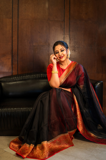Pure organza with banarasi border