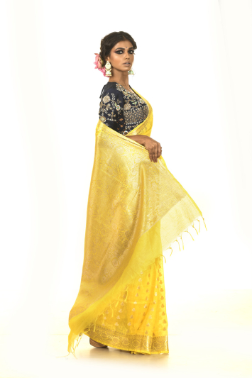 Pure Dupion Silk Benarasi Border Saree