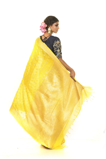 Pure Dupion Silk Benarasi Border Saree