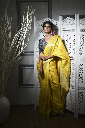 Pure Dupion Silk Benarasi Border Saree