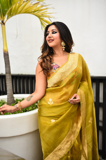 Banarasi designer blouse